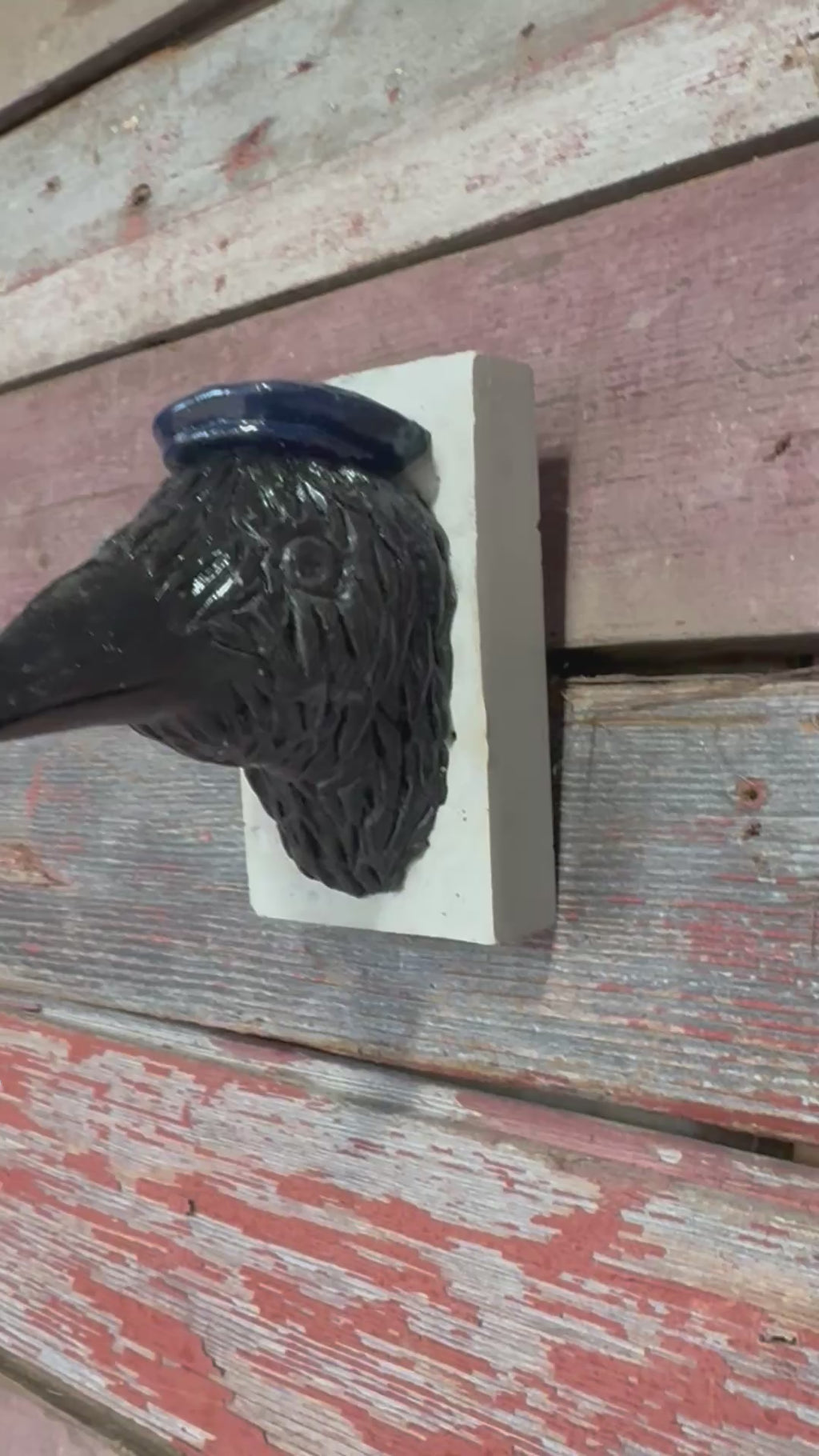 Flat Hat Crow